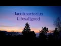 Jacob sartorius lifesallgood ( lyric video )