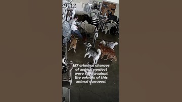 ANIMAL RESCUER? More like ANIMAL ABUSER! 😡