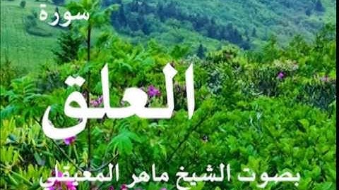 سورة العلق بصوت الشيخ / ماهر المعيقلي 96