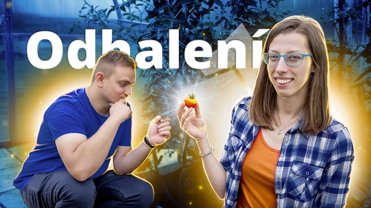 CO rostlinám CHYBÍ - výživové nedostatky u RAJČAT a dalších plodin