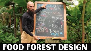 COMPLETE guide to Food Forest Design + Installation (2024 \/ Syntropic Agroforestry)