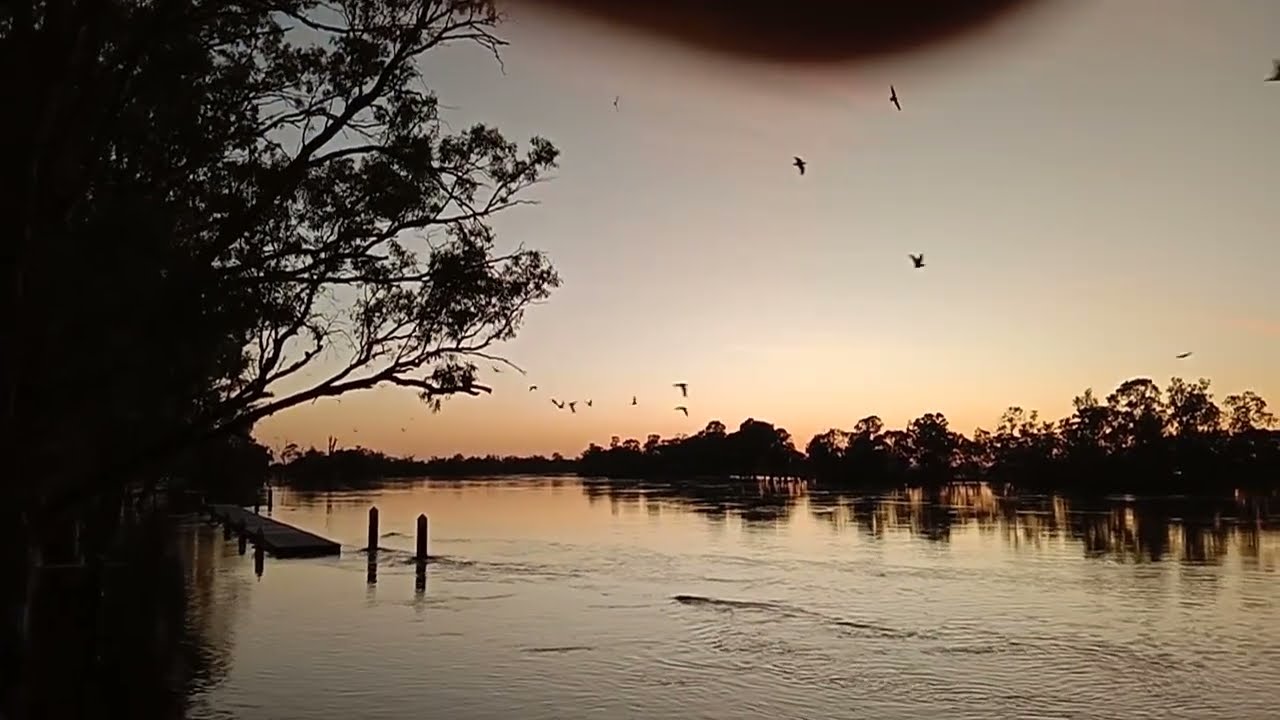 Only Boat On The River, Murray River flood 2023 Pt8