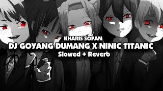 DJ GOYANG DUMANG X NINIC TITANIC (Slowed   Reverb) 🎧