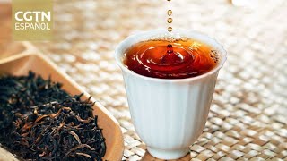 Una estadounidense amante del té explora el vibrante mundo de la cultura china del té