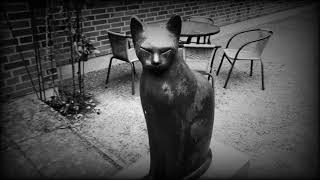 The Old Film Mystery 2023.