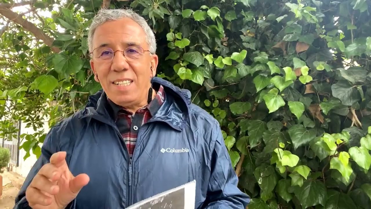 The Tophet and the punic harbours in Carthage