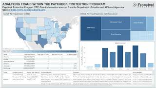 CARES Act Fraud, Waste, and Abuse: Analyzing Loans Under the Paycheck Protection Program