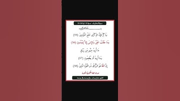سورة الذاريات - سورة 51 - اية 58-55