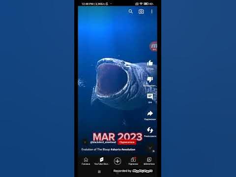 Сама велика риба міра - YouTube