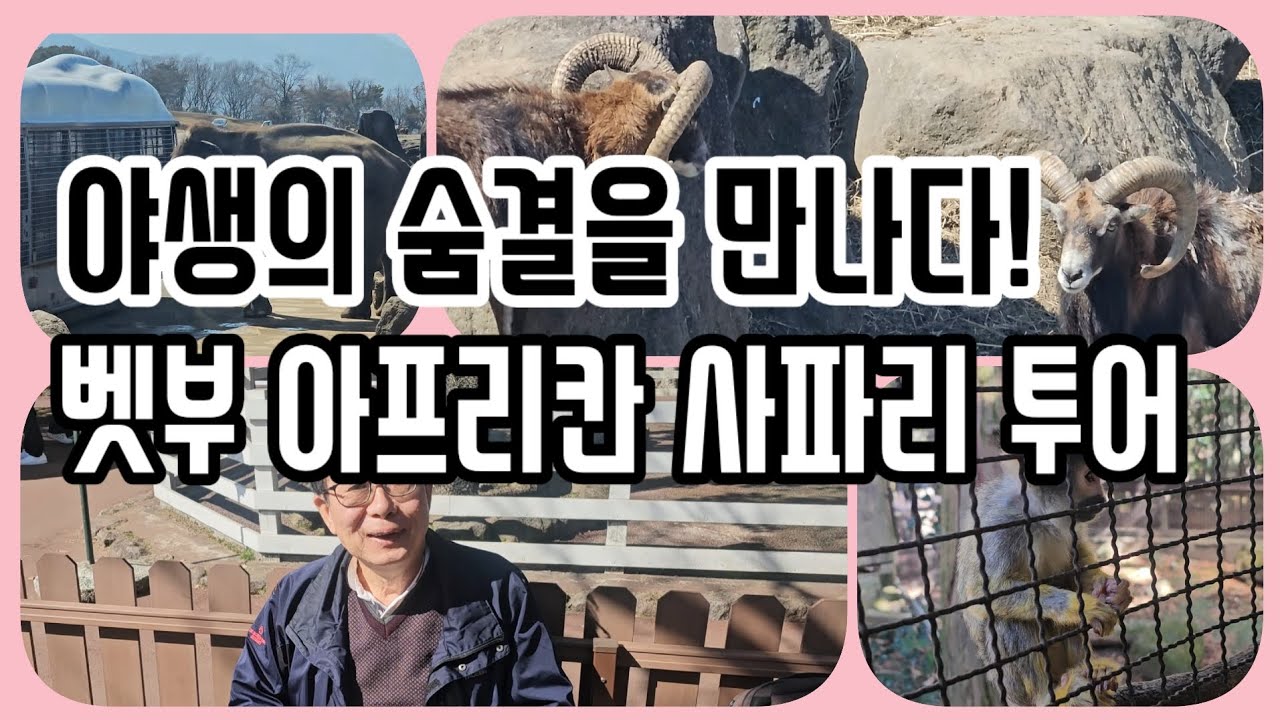 야생의 숨결을 만나다. 벳부 아프리칸 사파리 투어