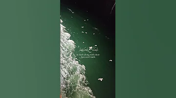 قرأن صوت قادم من الجنه تلاوة خاشعة 