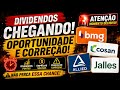 💰 OPORTUNIDADE OU ARMADILHA? BMGB4, CSAN3, ALLD3 E JALL3