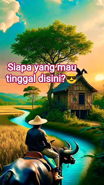 Pemandangan sawah disaat senja  #shorts