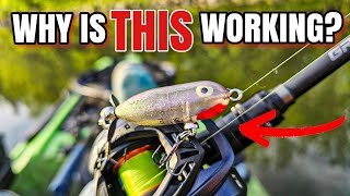 This 'dead' Lure Suddenly Catches Everything!