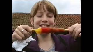 BATS CAMP SIZEWELL 1996