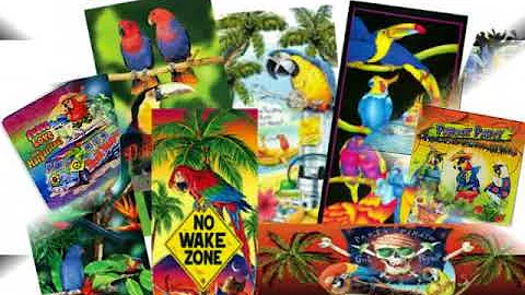 Parrot Lover Christmas gift ideas