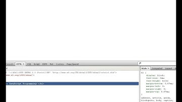 CSIS-3020 Web Programming and Design - Week 4 Video 1