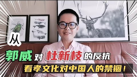 从郭威与杜新枝夫妇的关系转变，看孝文化对中国人的精神禁锢！ - 天天要闻