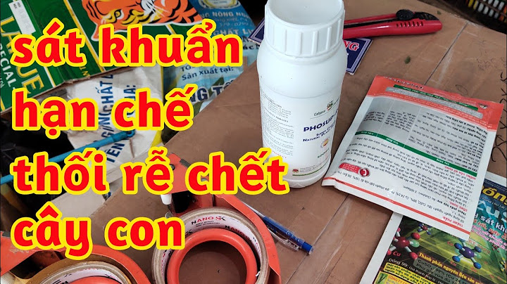 Nguyên nhân bệnh thối rễ trong vườn ươm