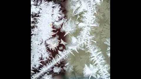 MICROFROST WINDOWS