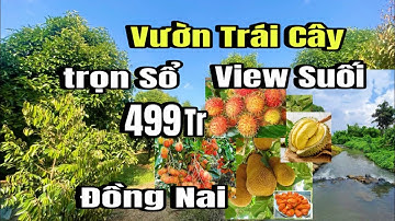 Đã bán)  vườn trái cây, view suối, lộ bê tông, gần đường 764, Sông ray, huyện Cẩm Mỹ cũ