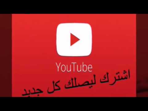 كلوديا اشتغاله من فيلم اوشن 14 أسامه الرايق