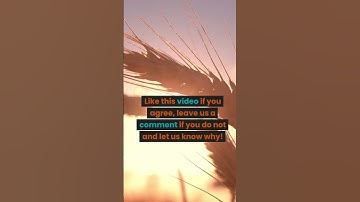 Social Security Disability - Medical Expert