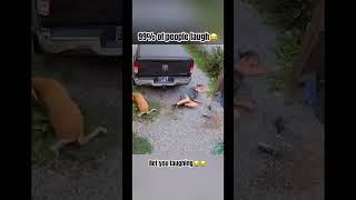 Write In The Comments If You Laughed