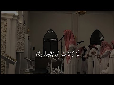 القارئ نیوار الکردي تقليد سلمان العتيبي سورة الزمر الآية ٤