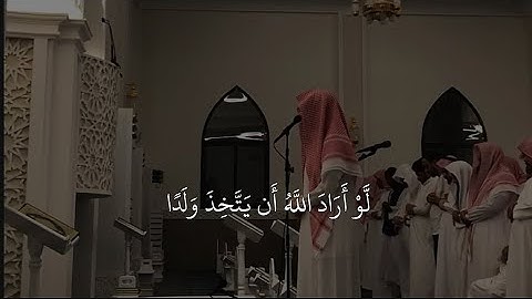 القارئ نیوار الکردي 🤎🎧 تقليد سلمان العتيبي سورة الزمر الآية ٤