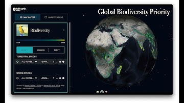Using data to influence decision making on local & global scales