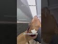 #dogshorts#funny#dogs#doglife#doglover#pet#dog