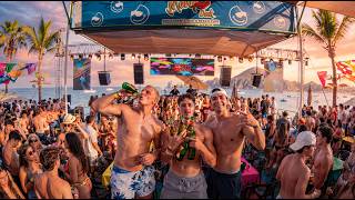 FRAT GUYS VS CABO SPRING BREAK