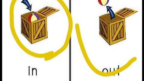 Grade Nursery Evs Dated 06 08 2020