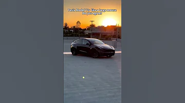 A Large Mouse Tesla Modely 