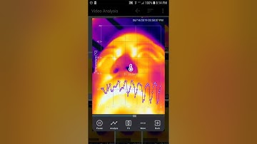 Thermal video analysis