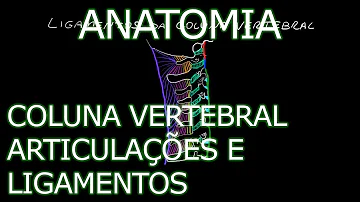Qual a articulação da coluna cervical que se encontra entre os processos articulares superiores e inferiores?
