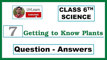 Class 6th Science Chapter 7: Getting to Know Plants - Question-Answers (English Medium)