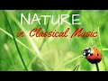 Capture de la vidéo Nature In Classical Music