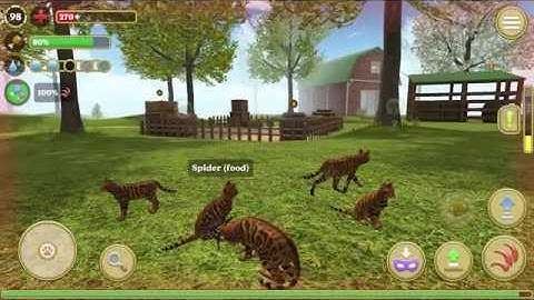 Cat Simulator 2020 #29 (Avelog) | Android Gameplay HD