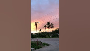 #sunset #wires