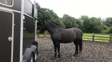 Trailer Loading Video - Ok so not the best video I