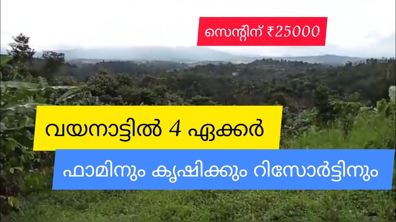 4 Acre Farm Agricultural Resort Land For Sale Wayanad Ambalavayal