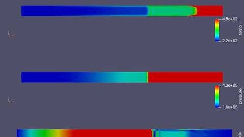Shock tube Simulation