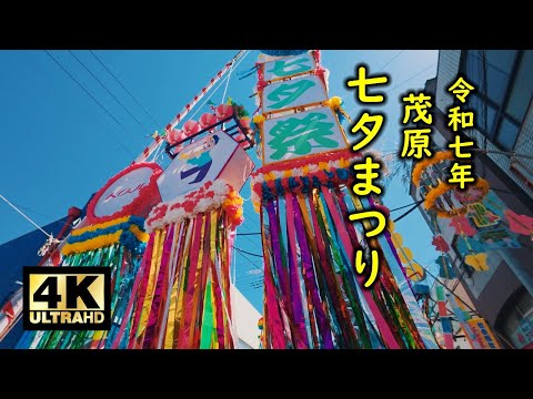 超速報 茂原七夕まつり2025