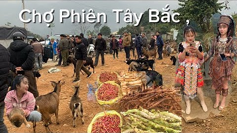 Cho Vùng Cao Đầu Năm Bán Rất Nhiều Dê Cỏ - Và Lợn Cắp Nách - Và Nhiều Đồ Quý | người vùng cao tv,