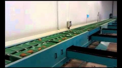 Sweet_potato_sizer.wmv