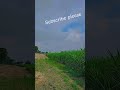 #mosttrendingbhojpurishort मिलते नजरिया नि #yrchannelnaturelover #trendingandviral