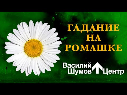 Василий Шумов “Гадание на ромашке”