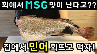 회에서 맛소금 맛이 난다고? 활민어 구매후 집에서 해체! 특수부위까지 전부 먹자!!!